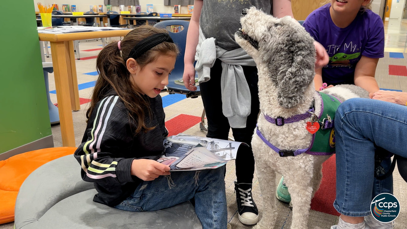 Read to Rover