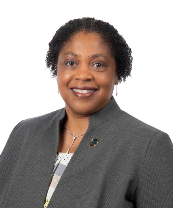 Dr. Lisa High