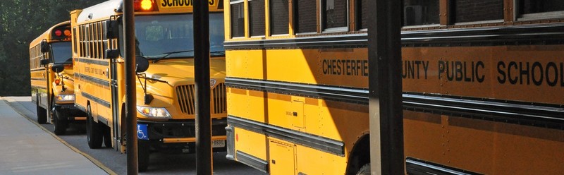 buses
